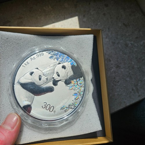 China kilo silber panda - china,